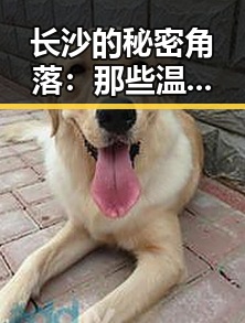 长沙的秘密角落:那些温馨与变化交织的瞬间