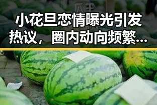 小花旦恋情曝光引发热议，圈内动向频繁变动