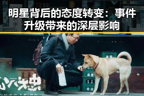 明星背后的态度转变：事件升级带来的深层影响