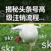 揭秘头条号高级注销流程:告别虚拟世界的理性选择