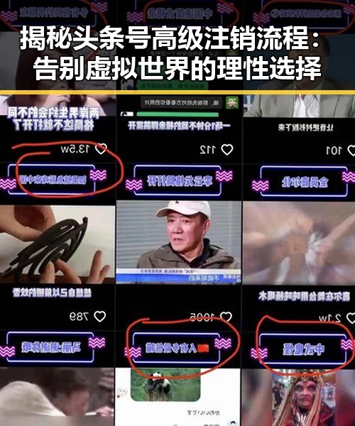 揭秘头条号高级注销流程:告别虚拟世界的理性选择