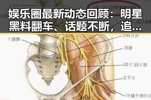 娱乐圈最新动态回顾：明星黑料翻车、话题不断，追瓜不断升级