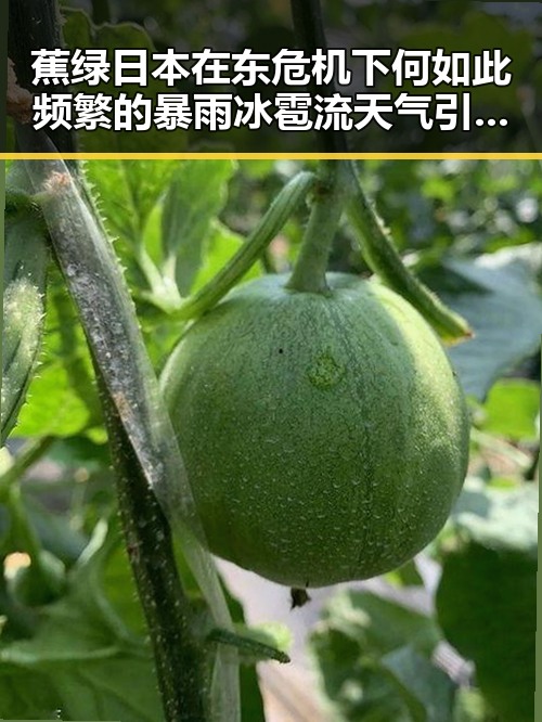 蕉绿日本在东危机下何如此频繁的暴雨冰雹流天气引发关注