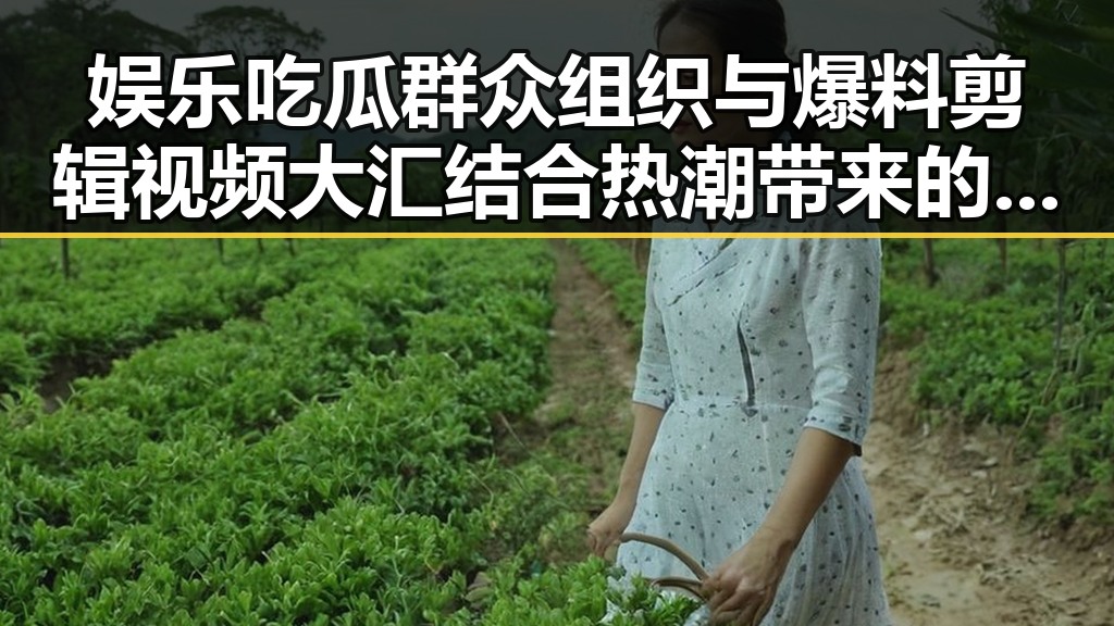 娱乐吃瓜群众组织与爆料剪辑视频大汇结合热潮带来的新娱乐风暴